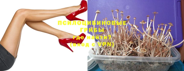 ECSTASY Алексин