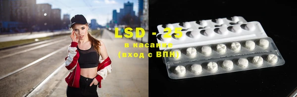 трава Наволоки