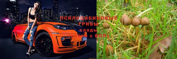МДМА Алексеевка