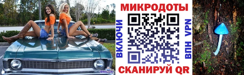 Псилоцибиновые грибы GOLDEN TEACHER  kraken зеркало  Майкоп 